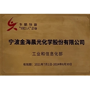 專精特新小巨人企業(yè) 